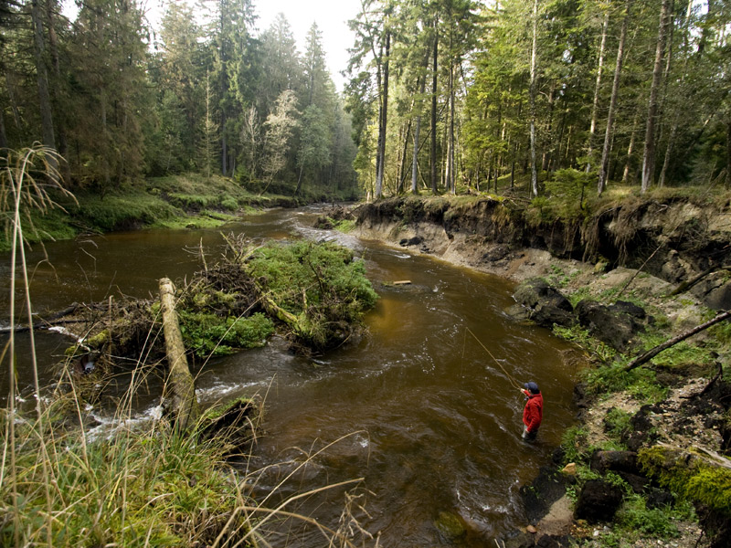 Rothgraben (Sossauer Kanal)